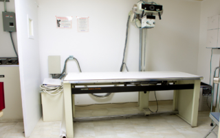 Vermont Urgent Care 90011
